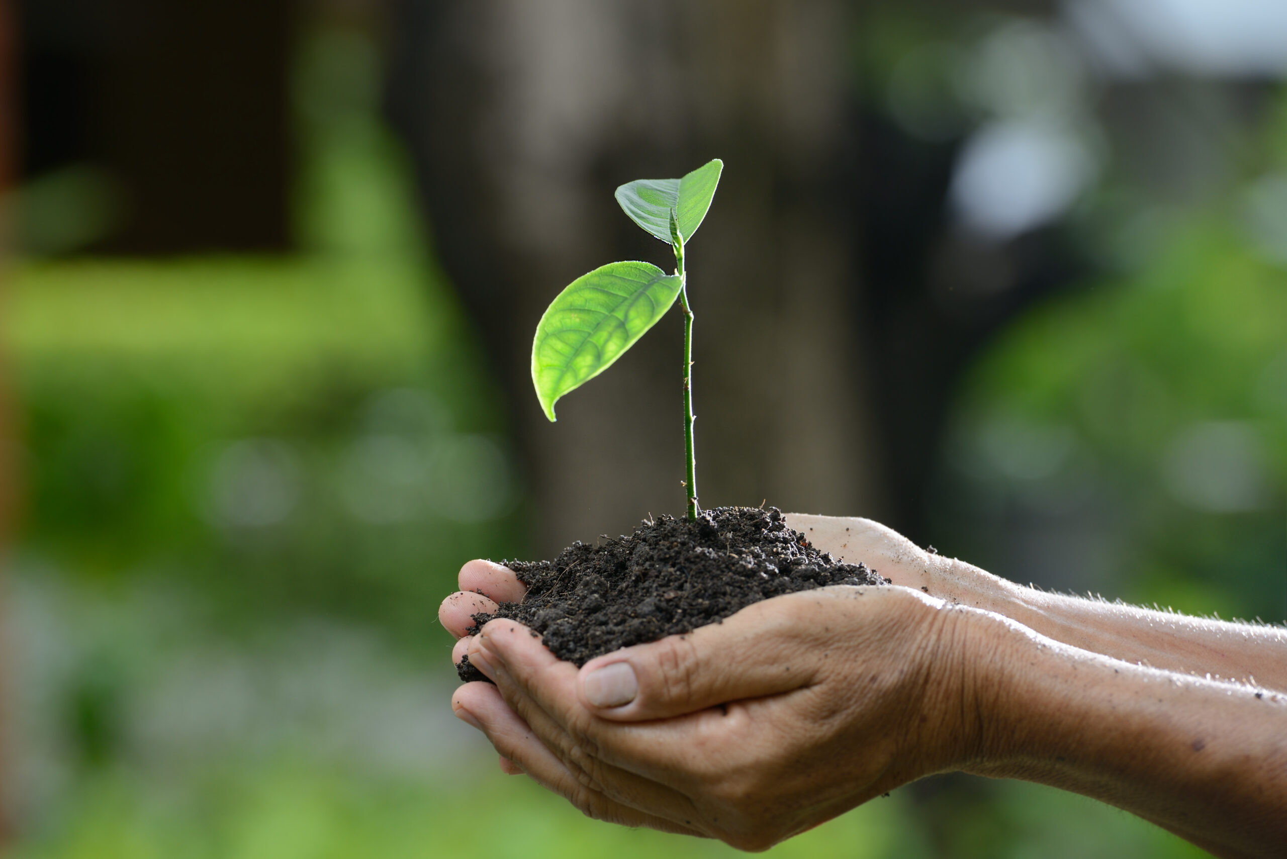 The new Nature of Business. Impact’25.